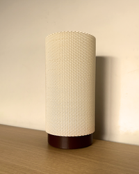 Eva Adaptive Lamp
