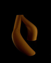Interlocking Toroidal Vases, pair