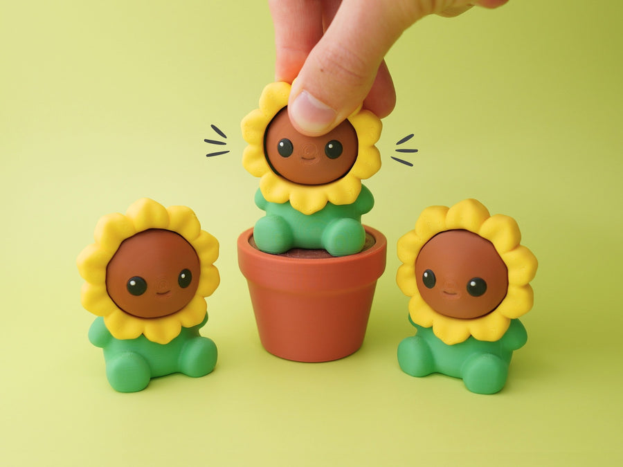 Toys and Fidgets (Sensory)